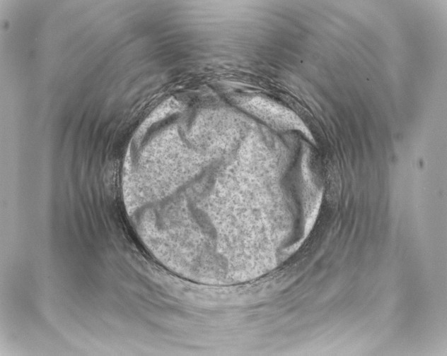 X0000087000034200705141817