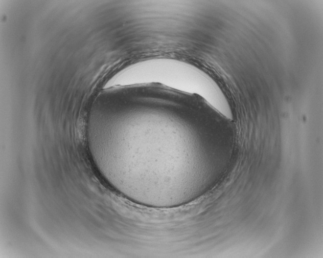 X0000087000035200705141817
