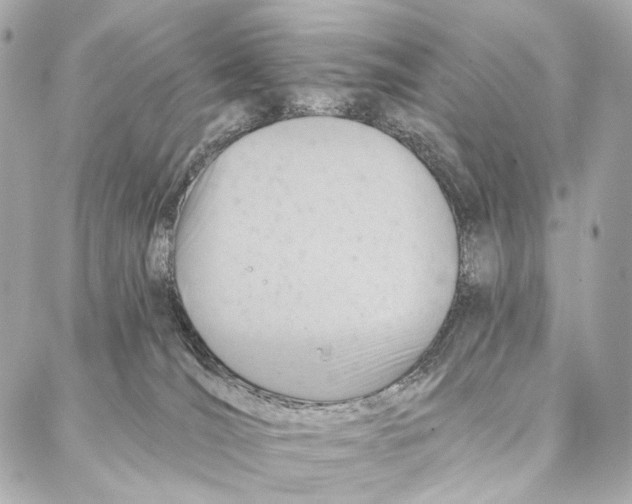 X0000087000036200705141817