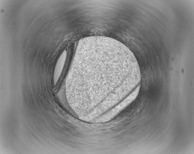 X0000087000038200705141817