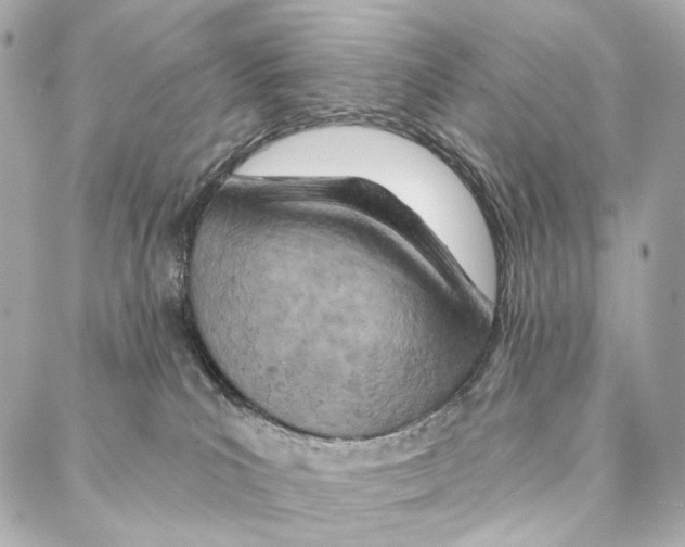 X0000087000039200705141817