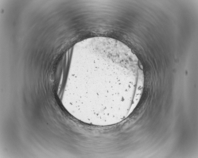 X0000087000040200705141817