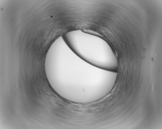 X0000087000041200705141817