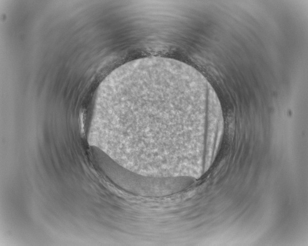 X0000087000042200705141817