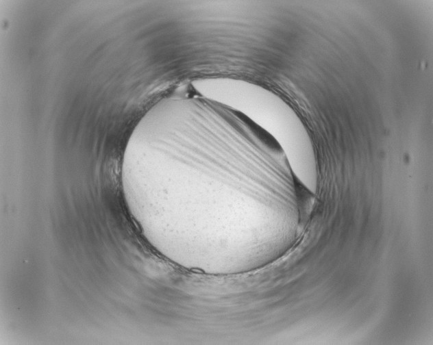 X0000087000045200705141817
