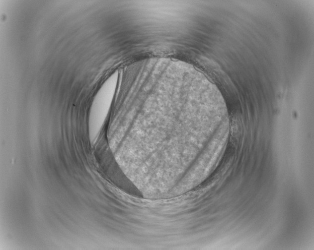 X0000087000046200705141817