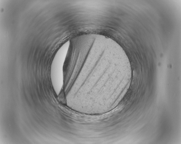 X0000087000048200705141817