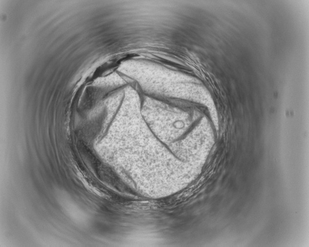 X0000087000050200705141816