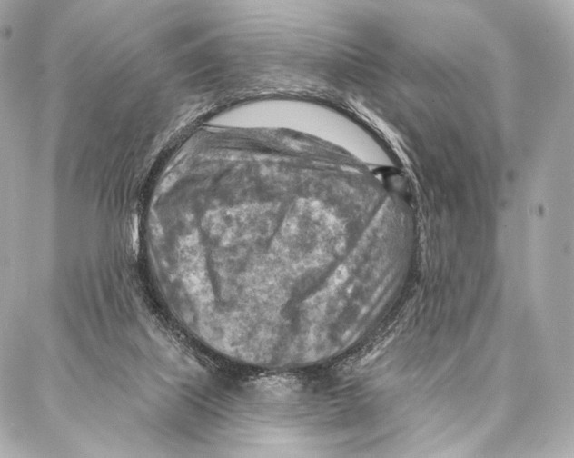 X0000087000067200705141816