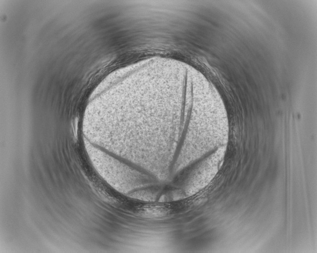 X0000087000070200705141817