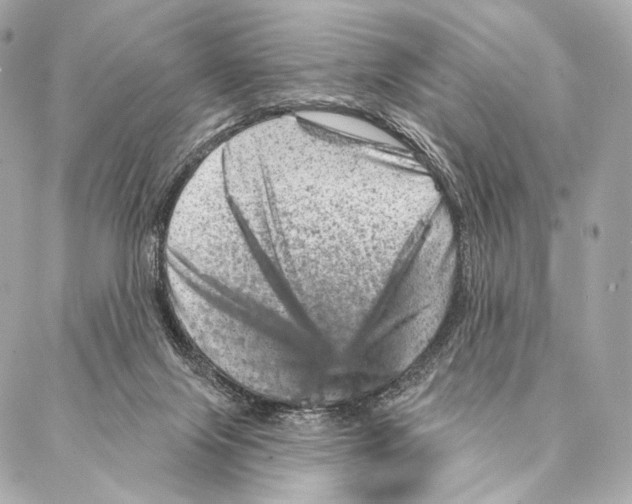 X0000087000071200705141817