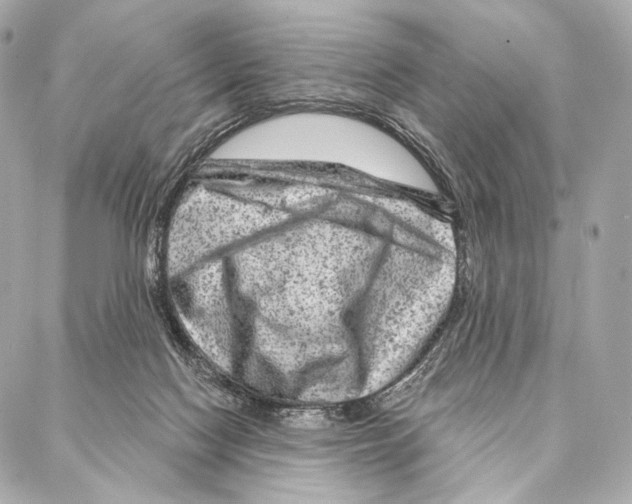X0000087000074200705141817