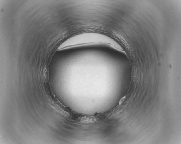 X0000087000077200705141817