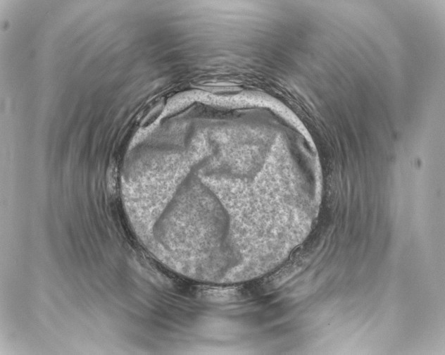 X0000087000081200705141817