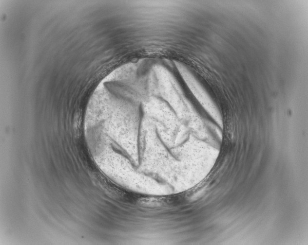 X0000087000082200705141817