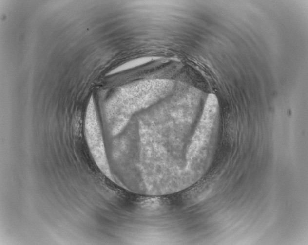 X0000087000083200705141817