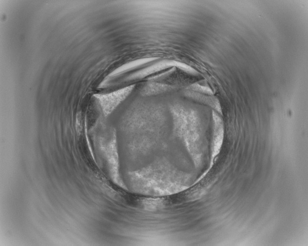 X0000087000085200705141817