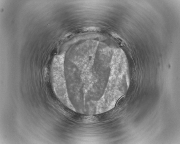 X0000087000087200705141817