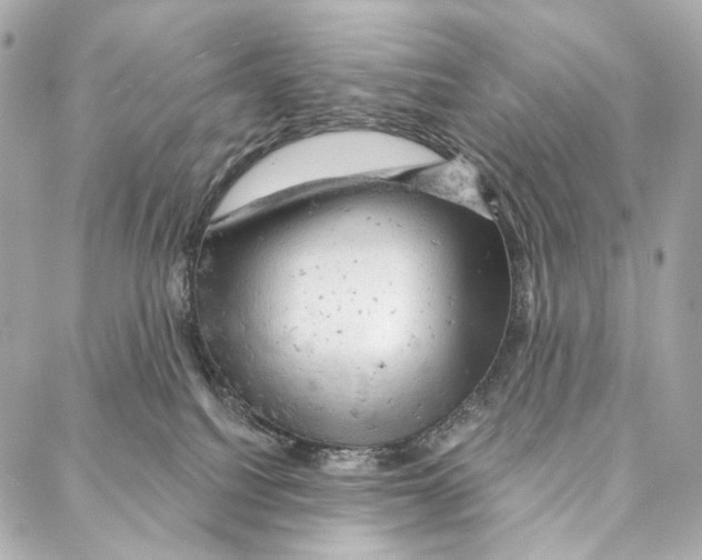 X0000087000088200705141817