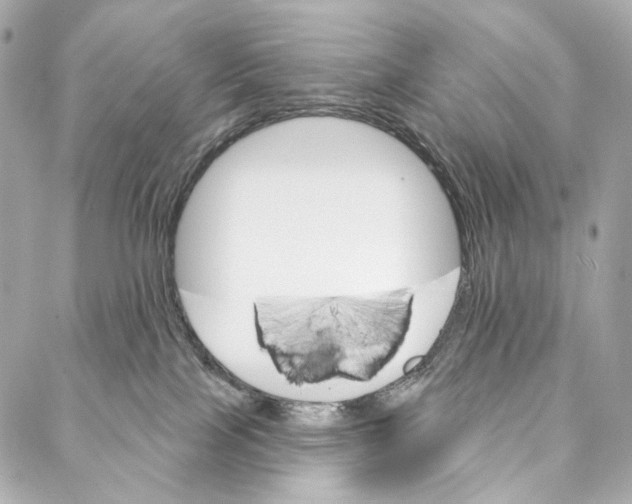 X0000087000089200705141817