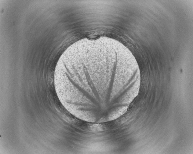 X0000087000091200705141817