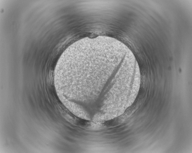 X0000087000093200705141817