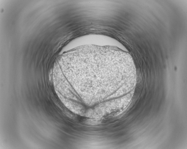 X0000087000094200705141817