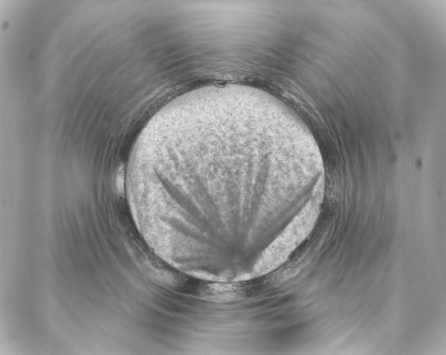 X0000087000095200705141817