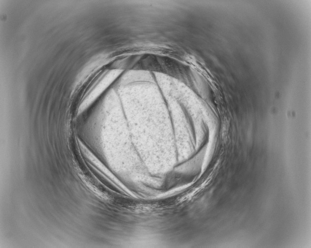 X0000087000101200705141816