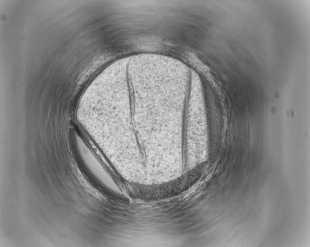 X0000087000106200705141816
