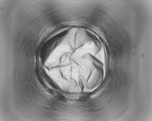 X0000087000109200705141816