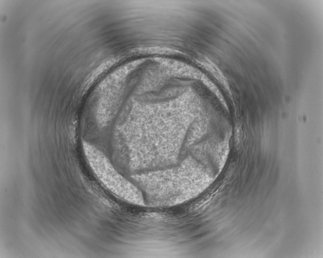 X0000087000111200705141816