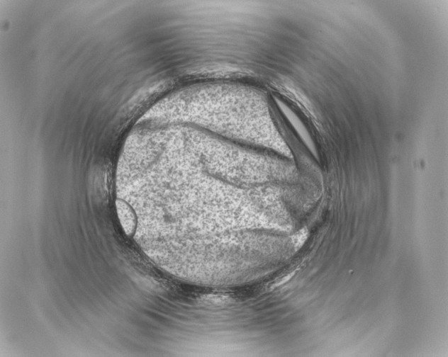 X0000087000119200705141816