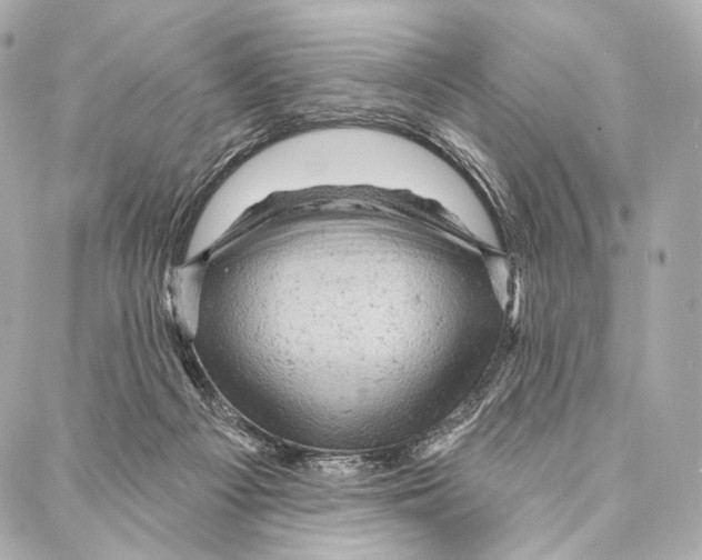 X0000087000121200705141816