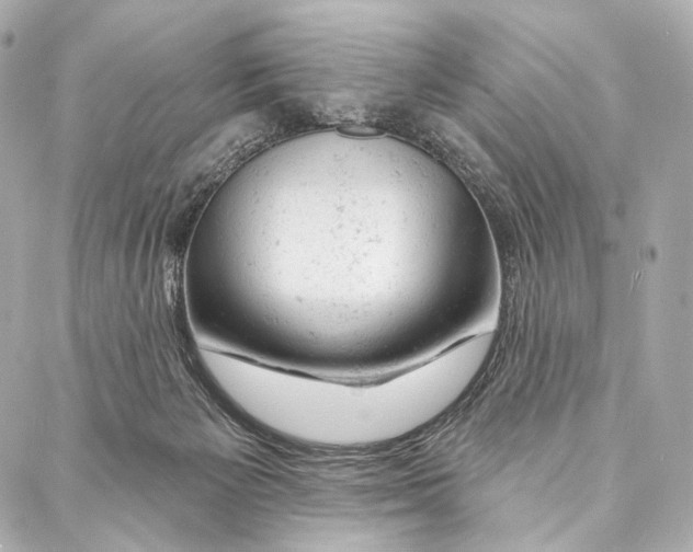 X0000087000125200705141815