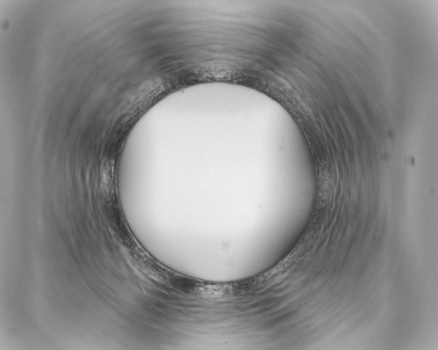 X0000087000126200705141815