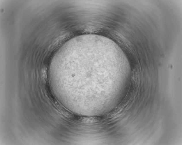 X0000087000127200705141815