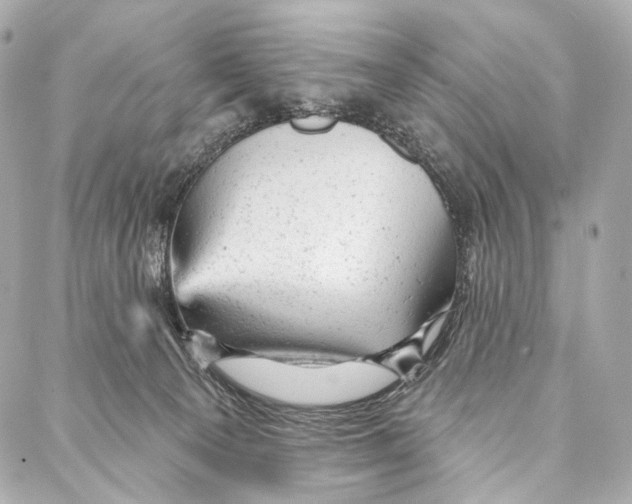 X0000087000129200705141815