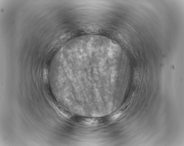 X0000087000130200705141815