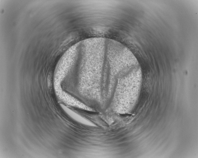 X0000087000131200705141815