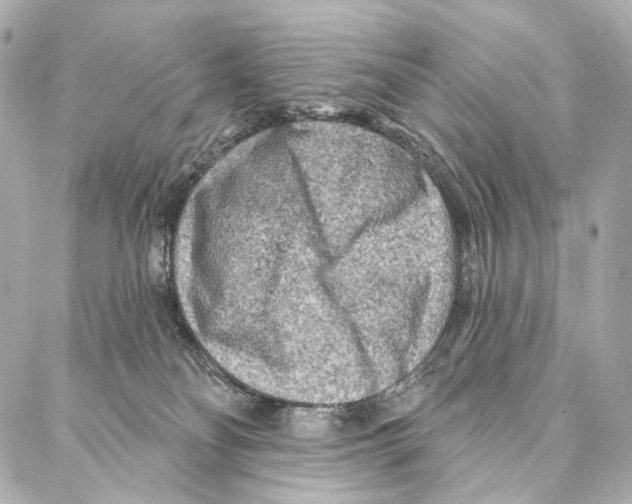 X0000087000134200705141815
