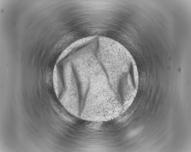 X0000087000138200705141815