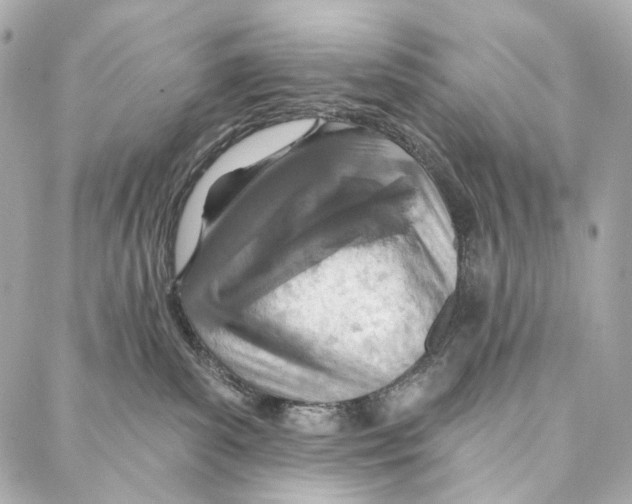 X0000087000139200705141815