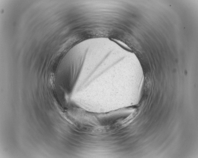 X0000087000141200705141815