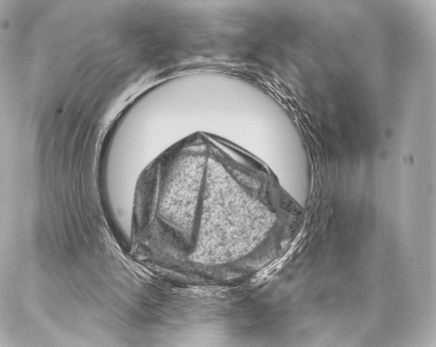 X0000087000150200705141814