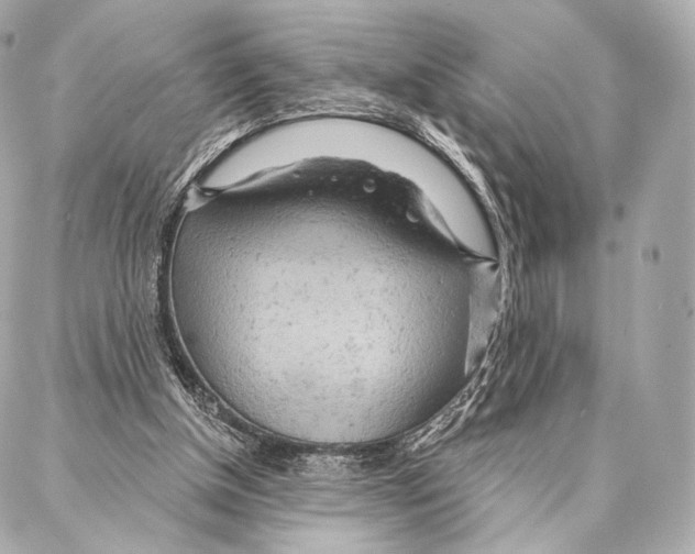 X0000087000154200705141815