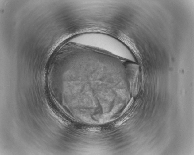 X0000087000156200705141815