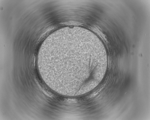 X0000087000157200705141815