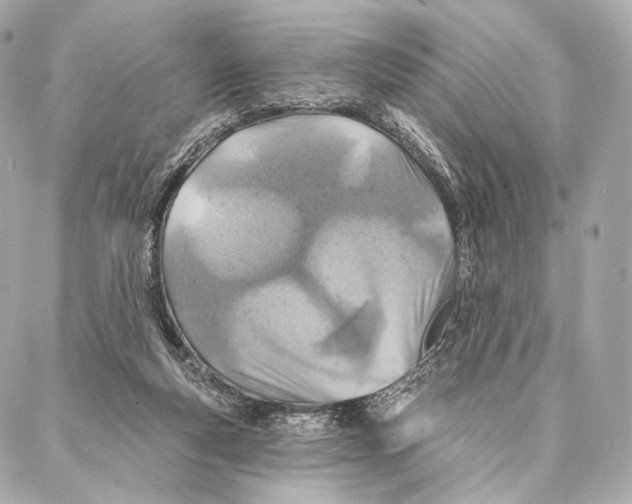 X0000087000163200705141815