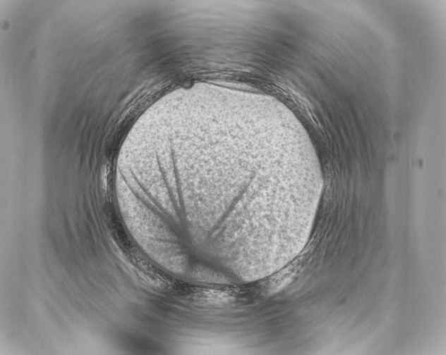 X0000087000166200705141815
